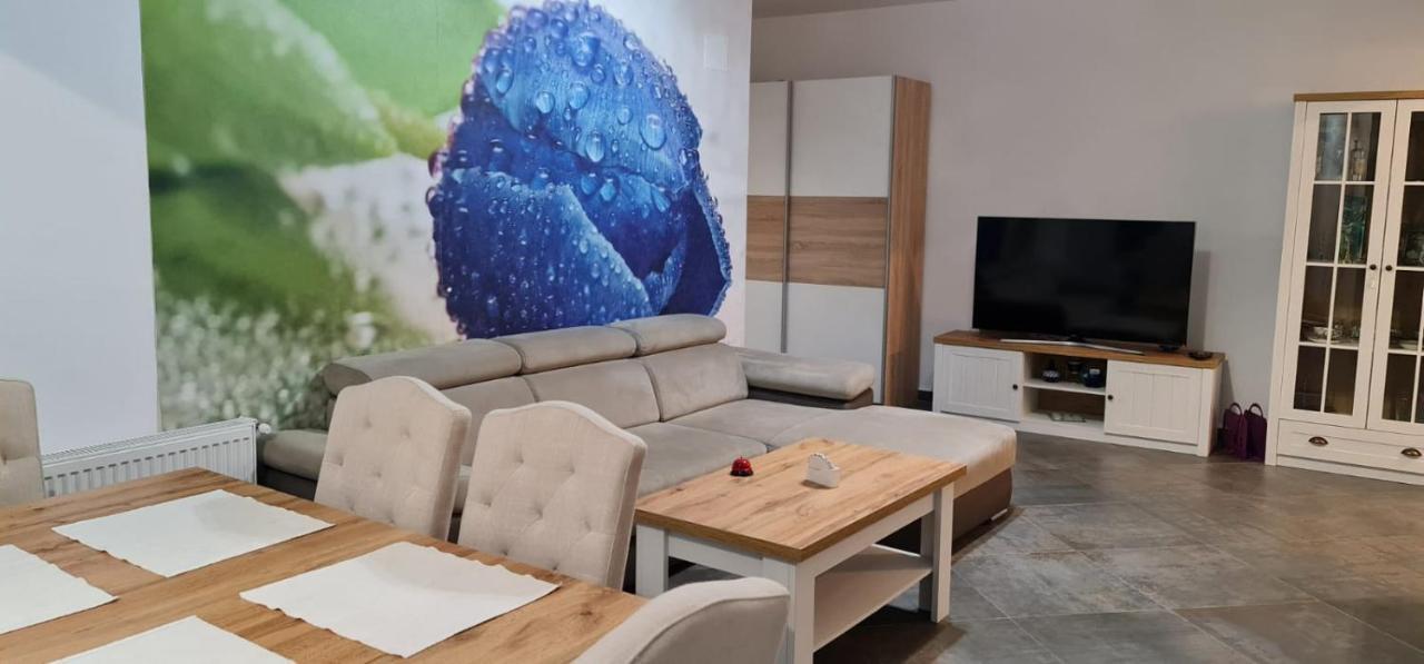 Apartament Fiore Blu Năvodari Exterior foto